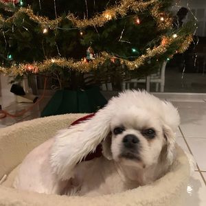 Meet your Posher, Eileen